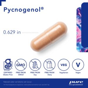 Pycnogenol® 100 mg. 60's - Image 4