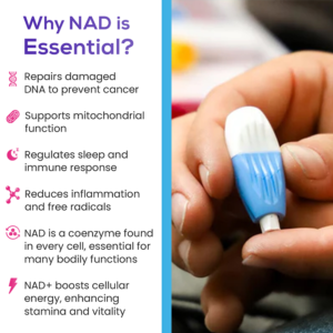 Intracellular NAD® Test (CLIA-Certified) - Image 6